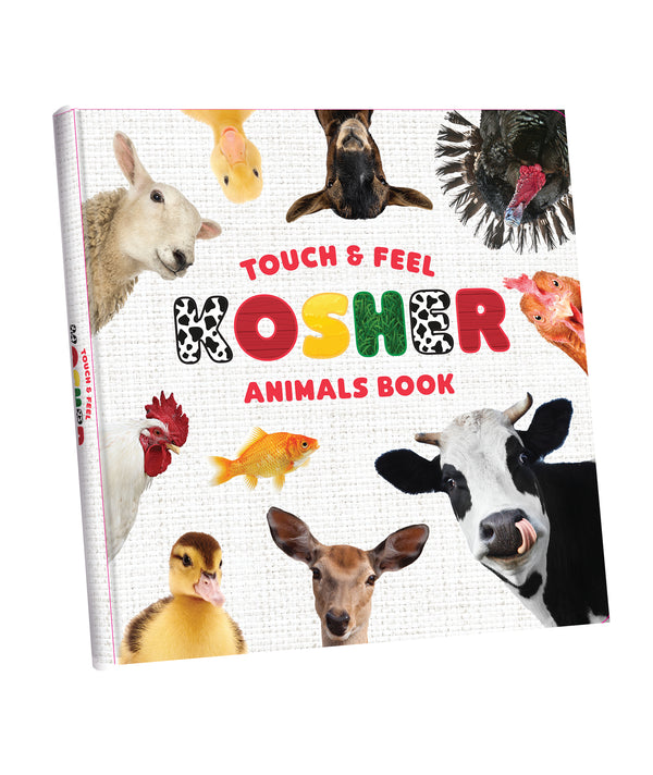 My First Touch and Feel Animal Book